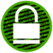 Digital Encryption Icon